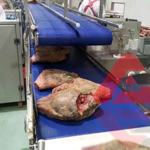 food-Grade-Conveyor-Belt