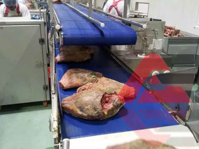 food-Grade-Conveyor-Belt